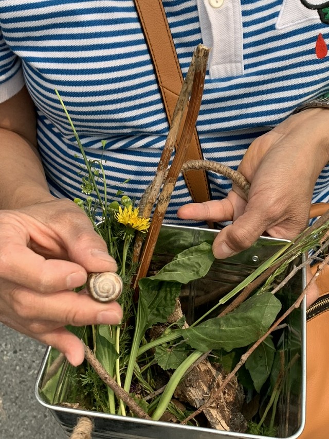 someone holding a bucket full of natural items such as flowers, weeds, sticks