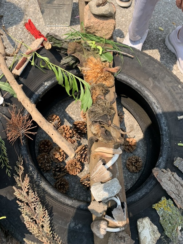 a tire with a stick across it, on the stick there are many items such as leaves, pinecones, rocks