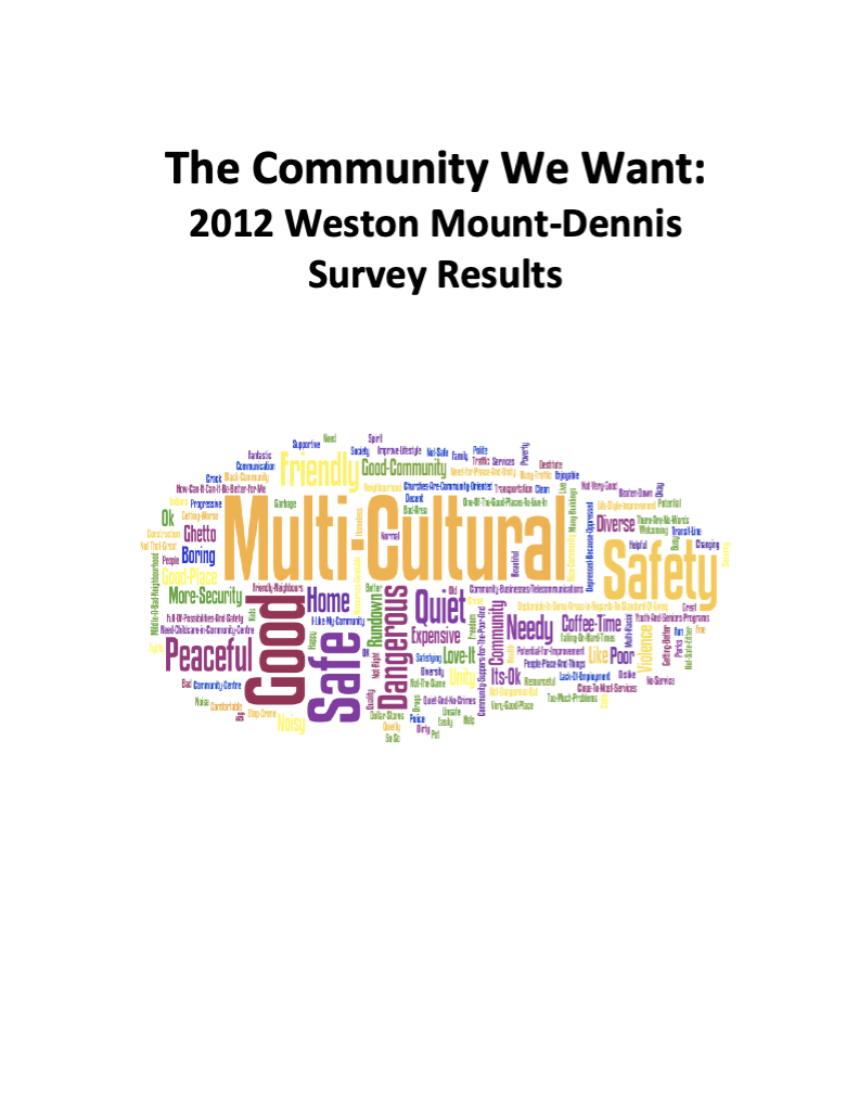Community Survey Report 2012